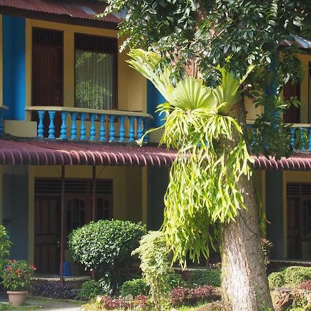 Wisma Leuser Sibayak Bukit Lawang Exterior photo